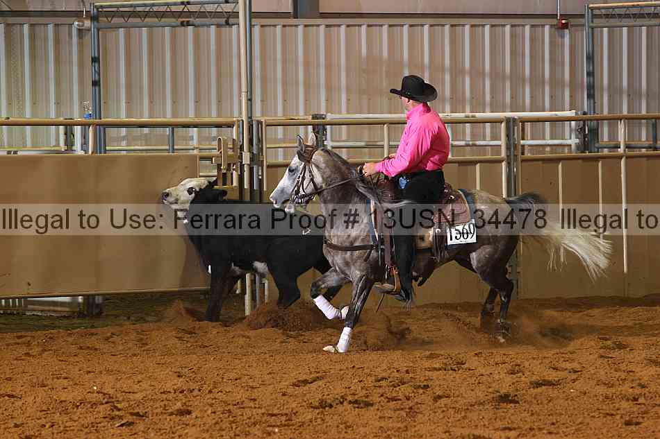 Proof 13usn_34478