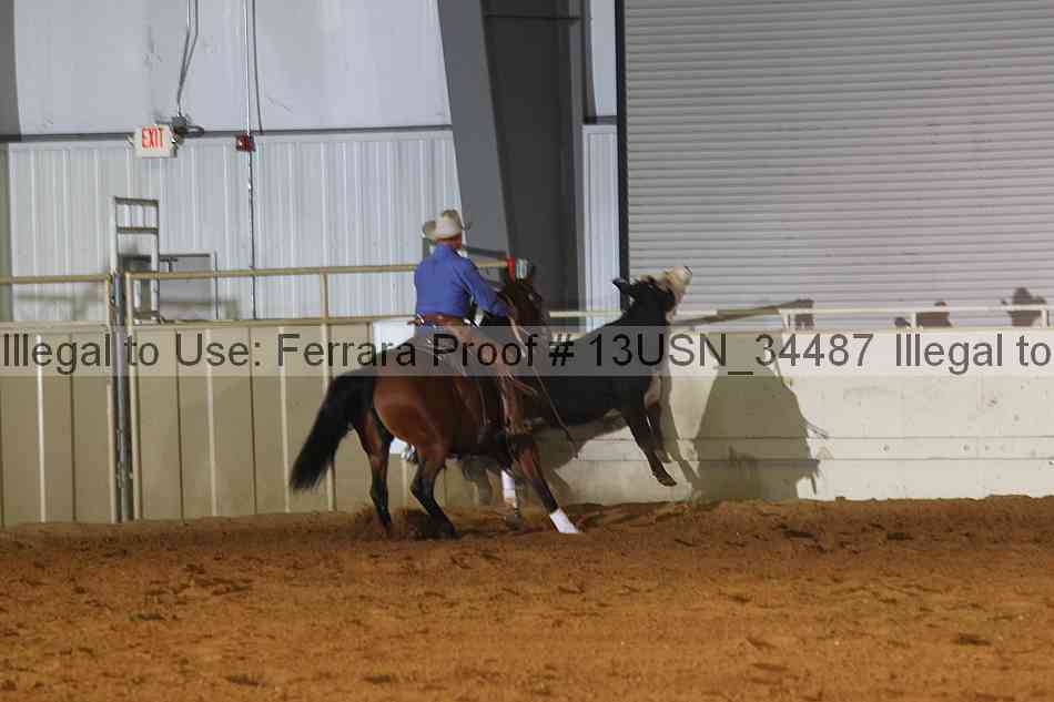 Proof 13usn_34487