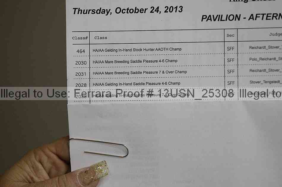 Proof 13usn_25308