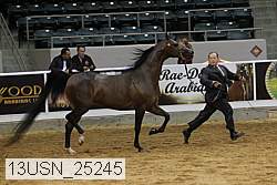 13usn_25245 proof