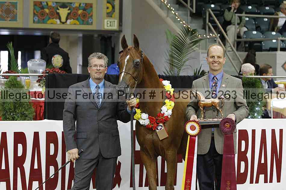 Proof 13usn_25263