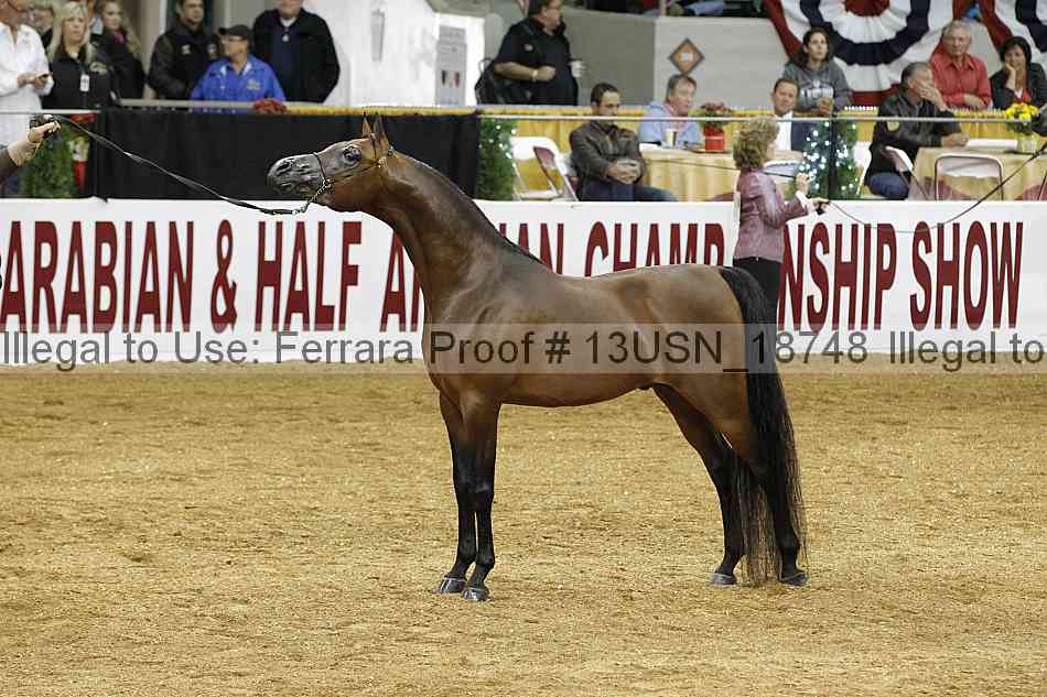 Proof 13usn_18748
