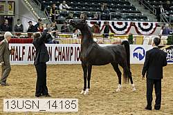 13usn_14185 proof
