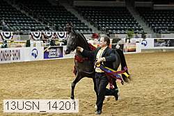 13usn_14201 proof