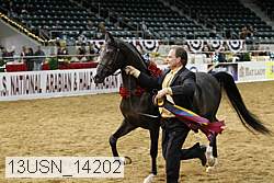 13usn_14202 proof