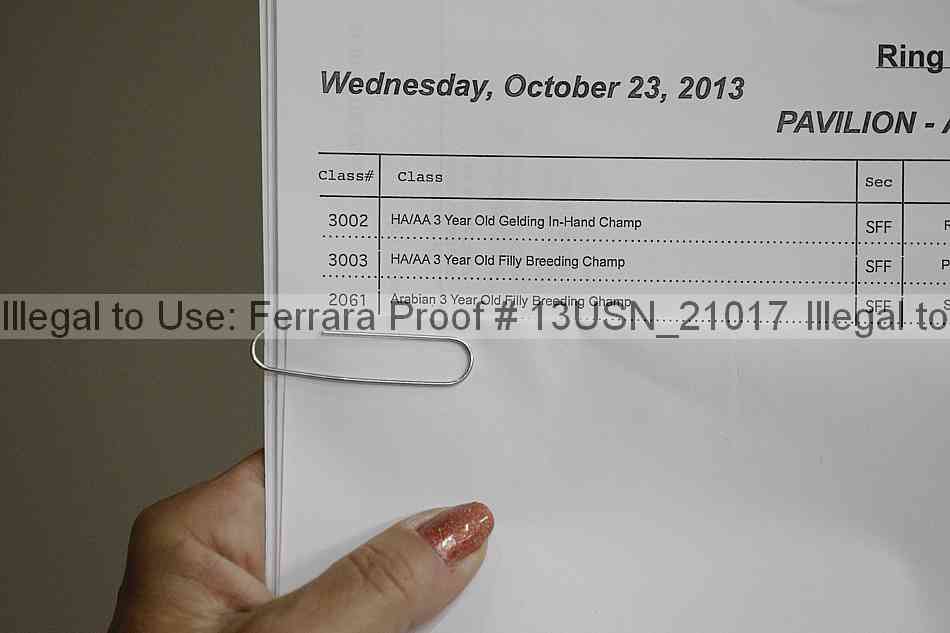 Proof 13usn_21017