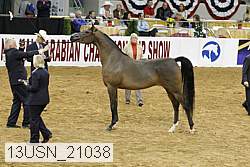 13usn_21038 proof