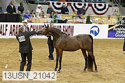 13usn_21042 proof