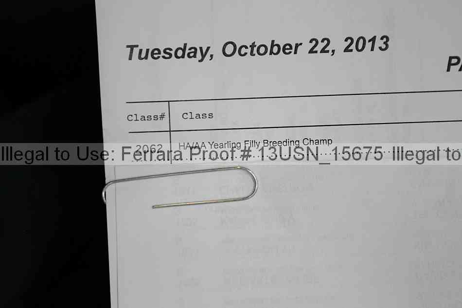 Proof 13usn_15675