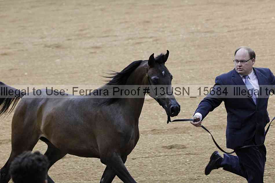 Proof 13usn_15684