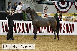 13usn_15896 proof