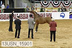 13usn_15901 proof