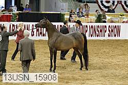 13usn_15908 proof
