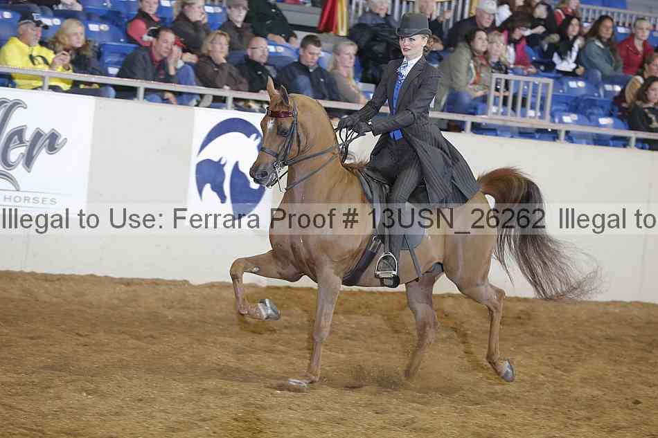 Proof 13usn_26262