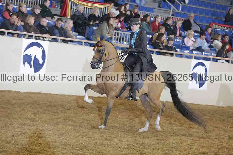 Proof 13usn_26265