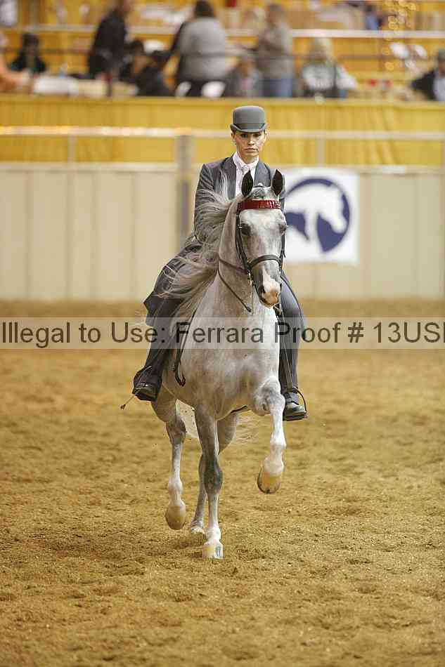Proof 13usn_26271