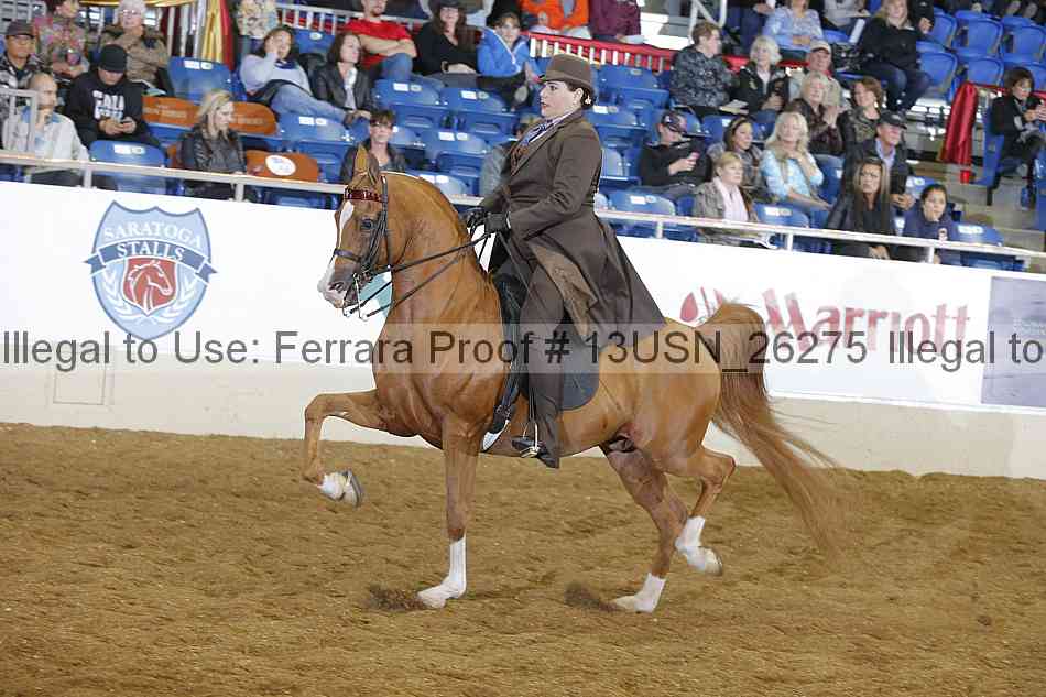 Proof 13usn_26275