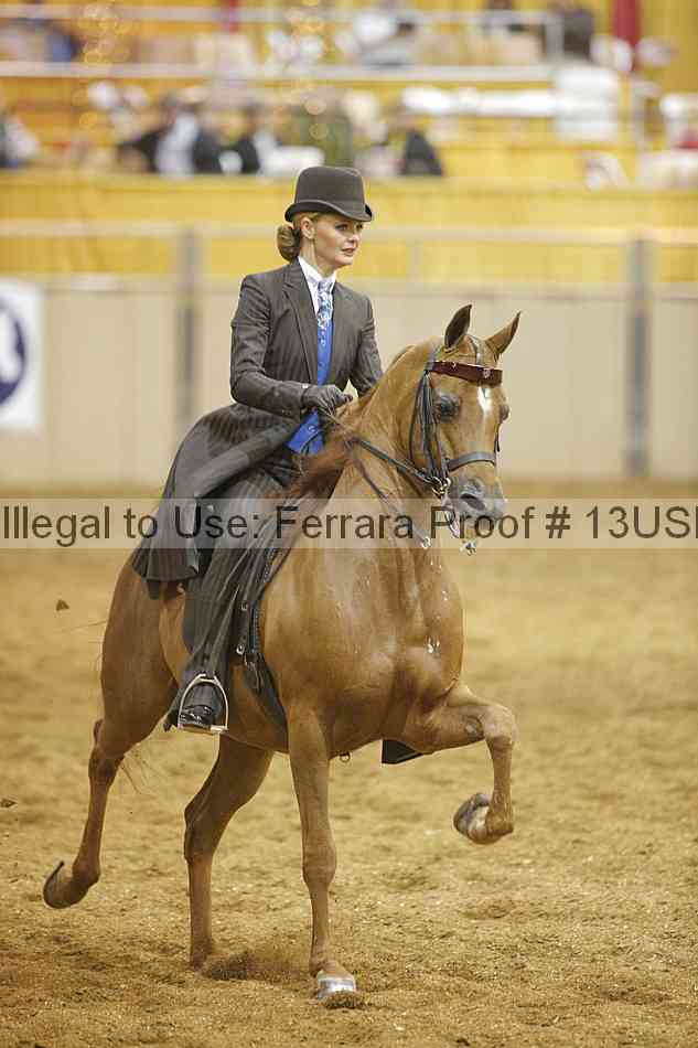 Proof 13usn_26276