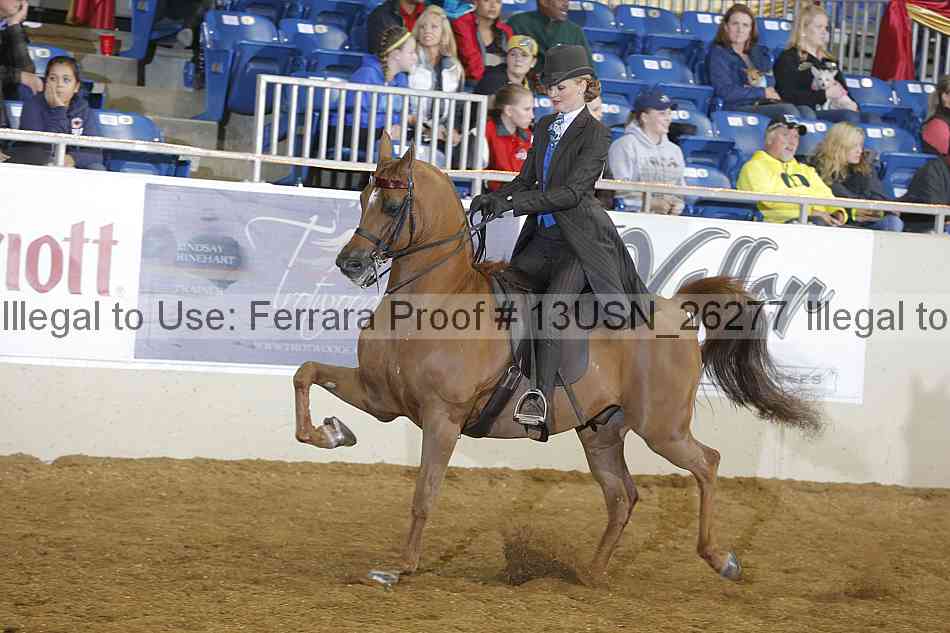 Proof 13usn_26277