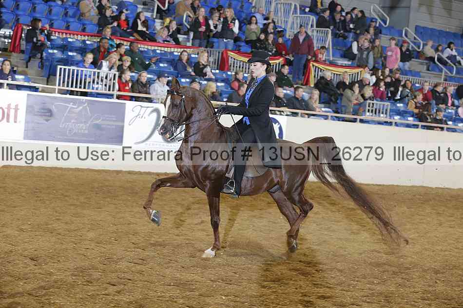 Proof 13usn_26279
