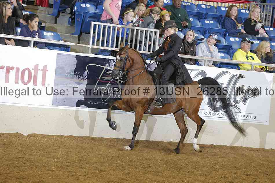 Proof 13usn_26285