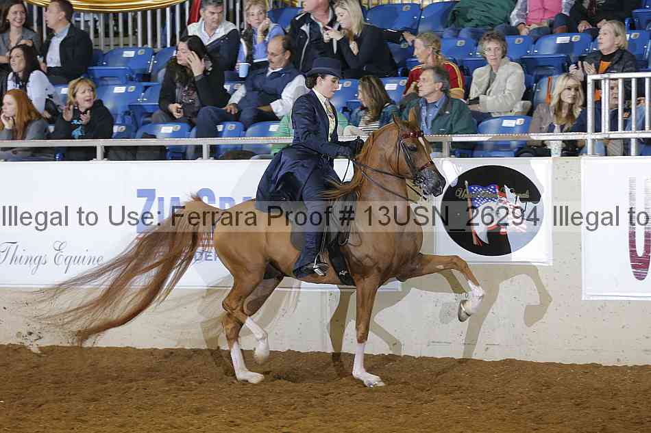 Proof 13usn_26294
