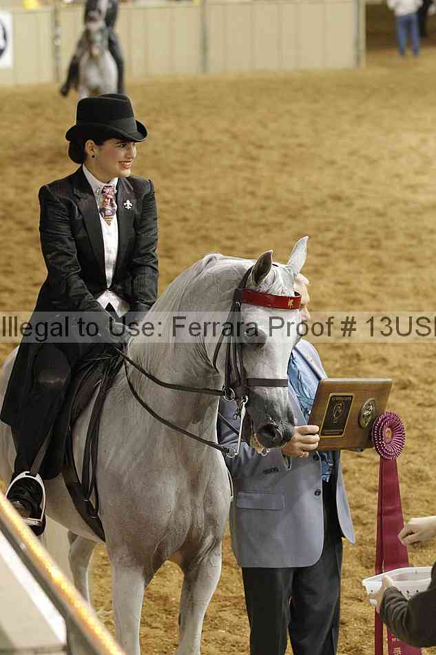 Proof 13usn_26327