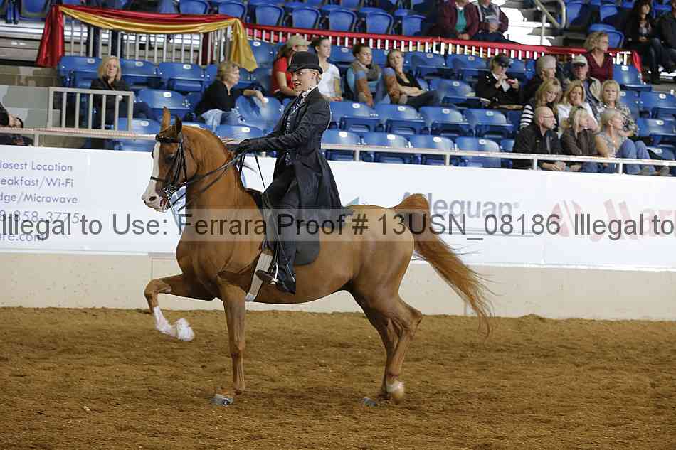 Proof 13usn_08186