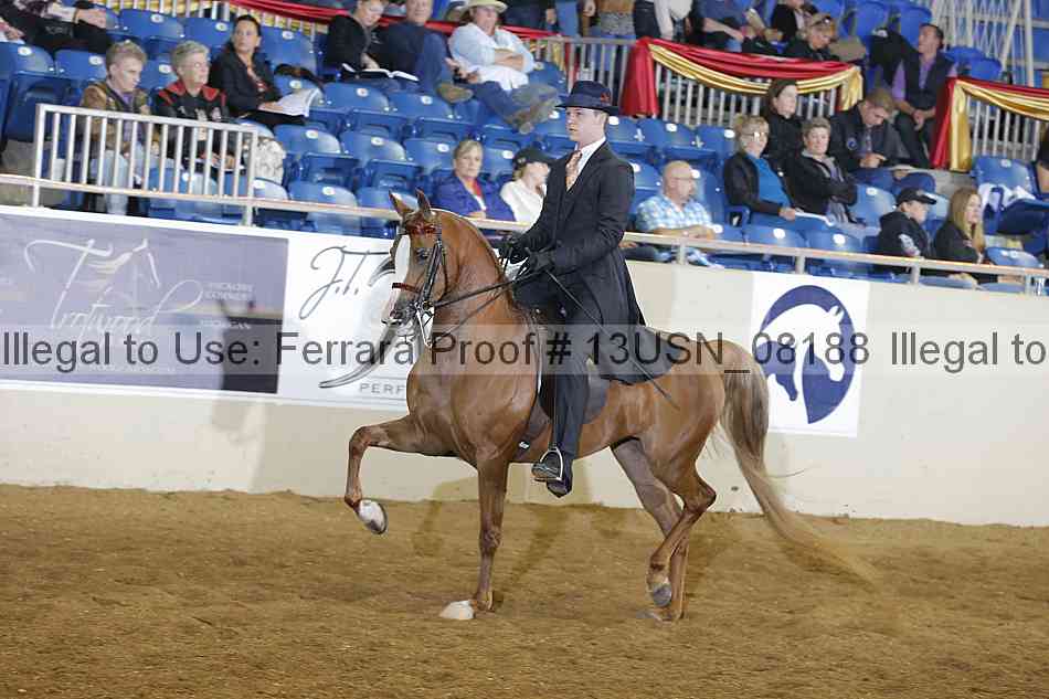 Proof 13usn_08188