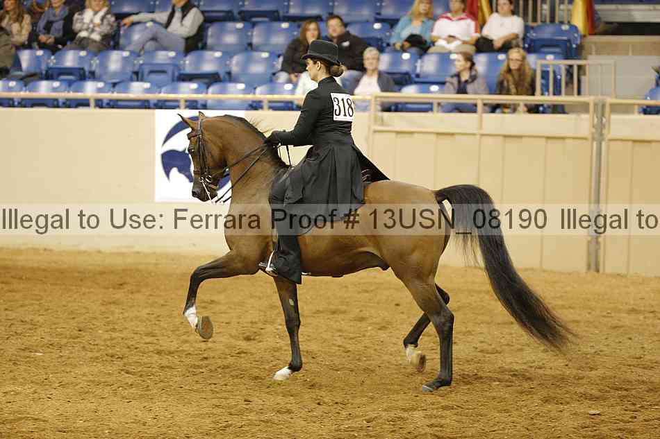 Proof 13usn_08190
