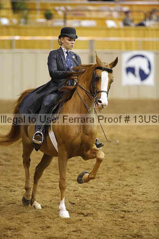 Proof 13usn_08193