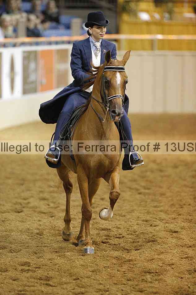 Proof 13usn_08195