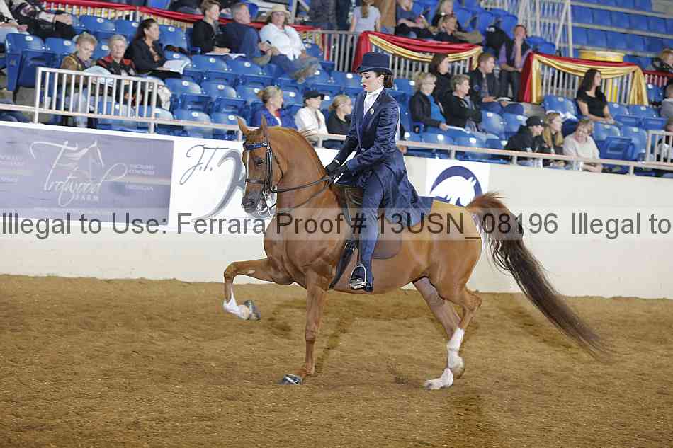 Proof 13usn_08196