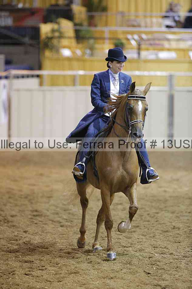 Proof 13usn_08199