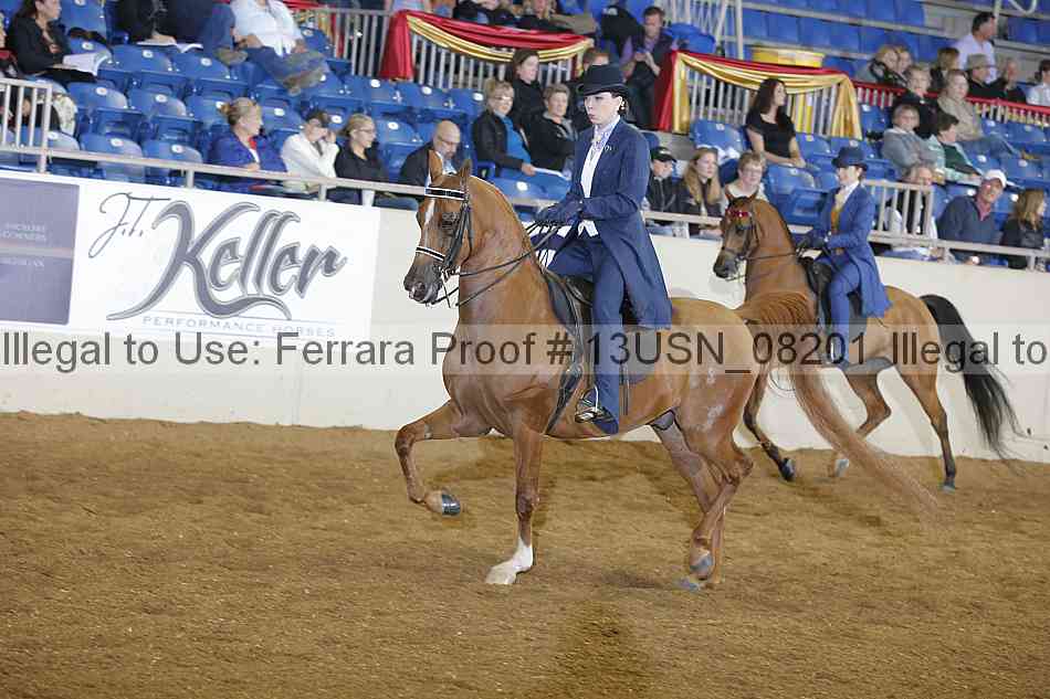 Proof 13usn_08201