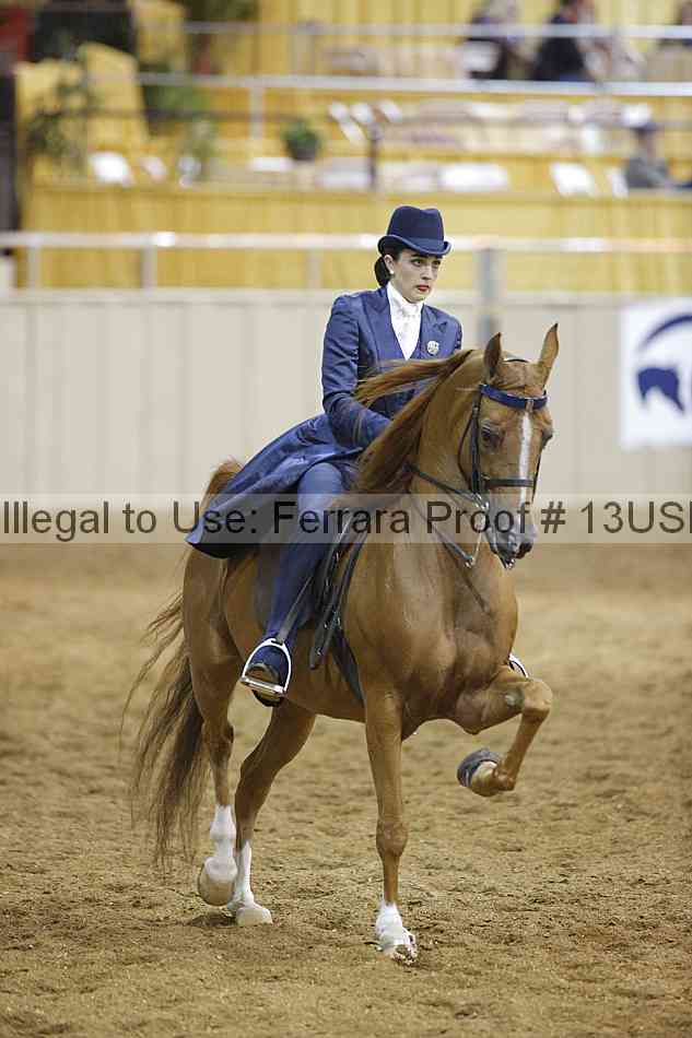 Proof 13usn_08203