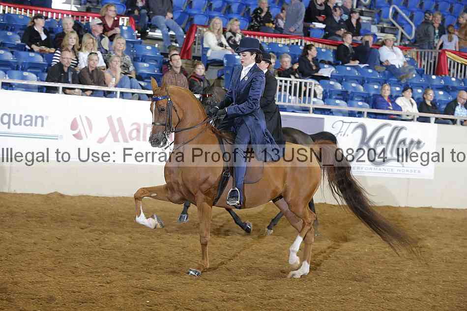 Proof 13usn_08204