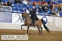 13usn_08207 proof