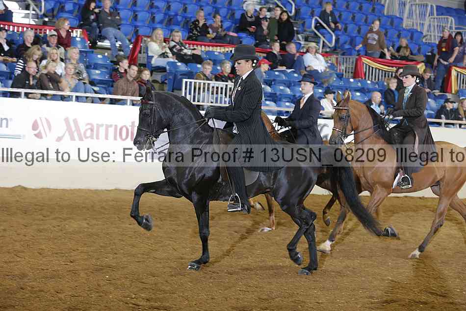 Proof 13usn_08209