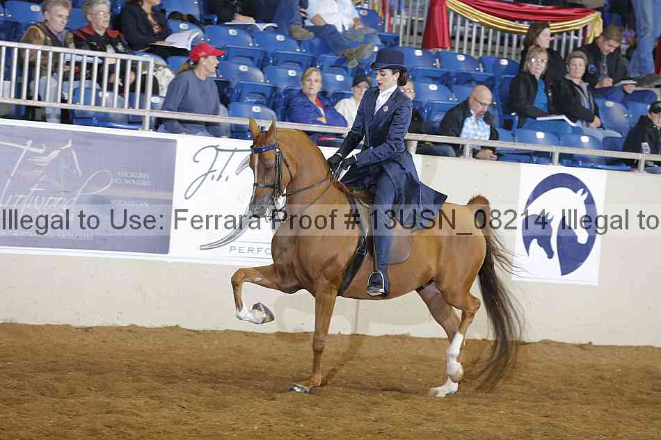 Proof 13usn_08214