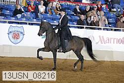 13usn_08216 proof