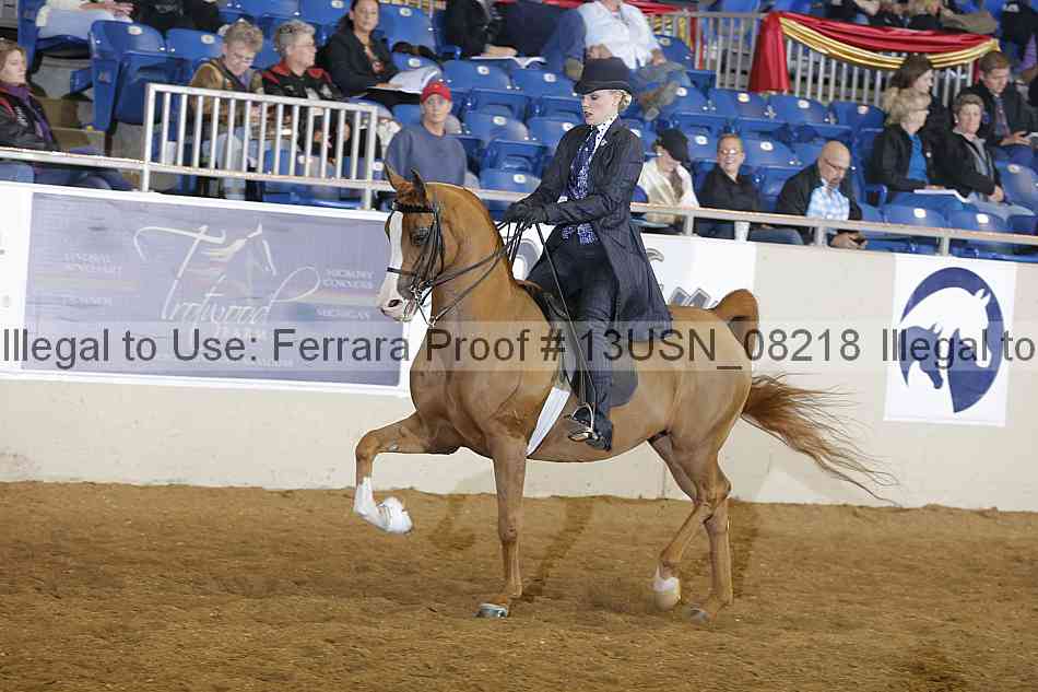 Proof 13usn_08218