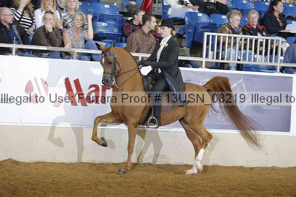 Proof 13usn_08219