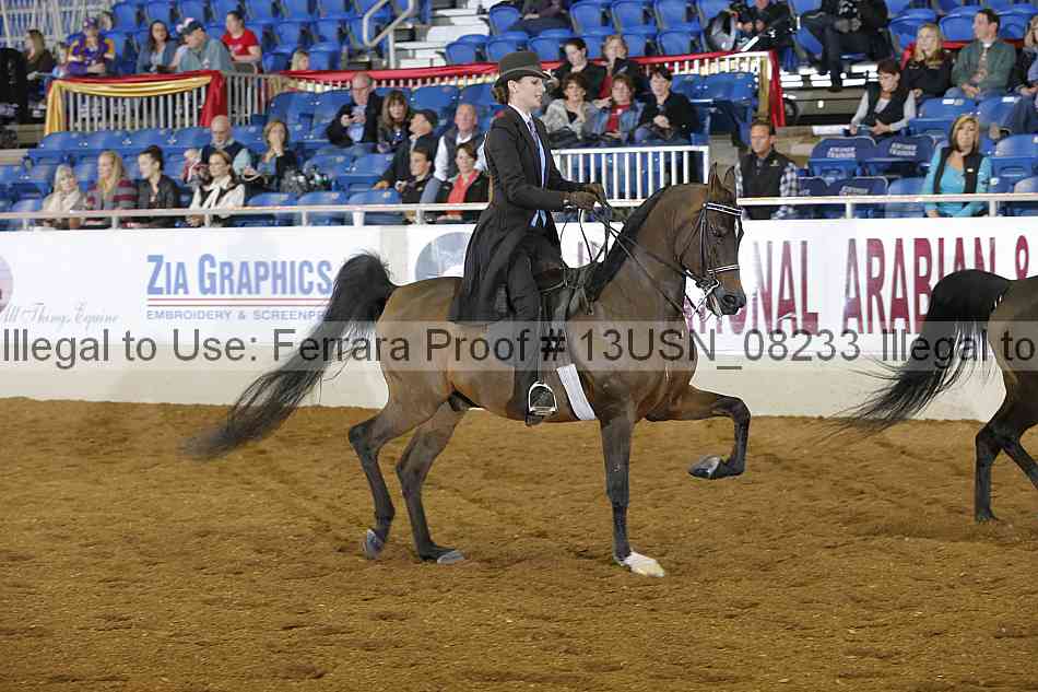 Proof 13usn_08233