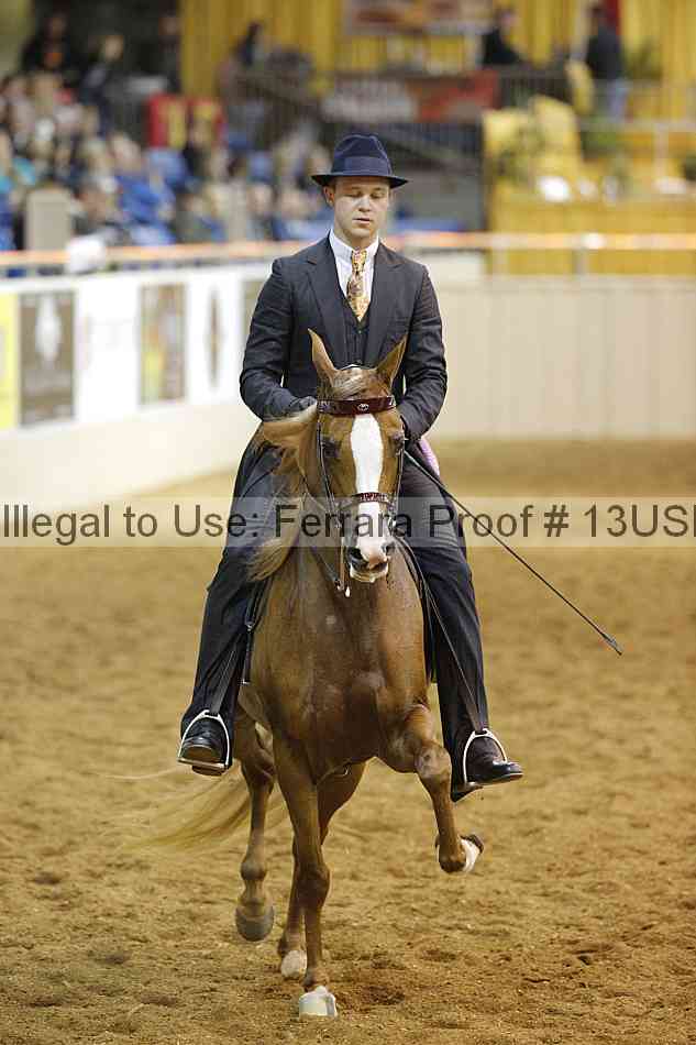 Proof 13usn_08245