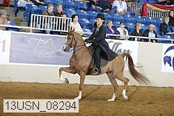 13usn_08294 proof