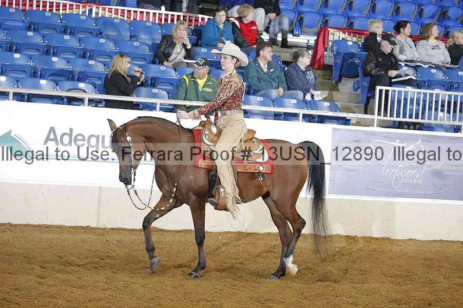 Proof 13usn_12890