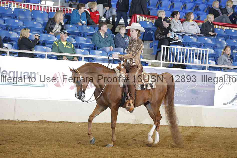 Proof 13usn_12893
