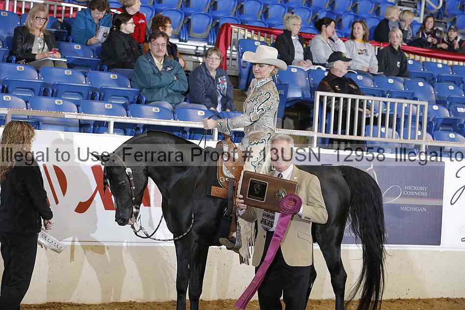 Proof 13usn_12958