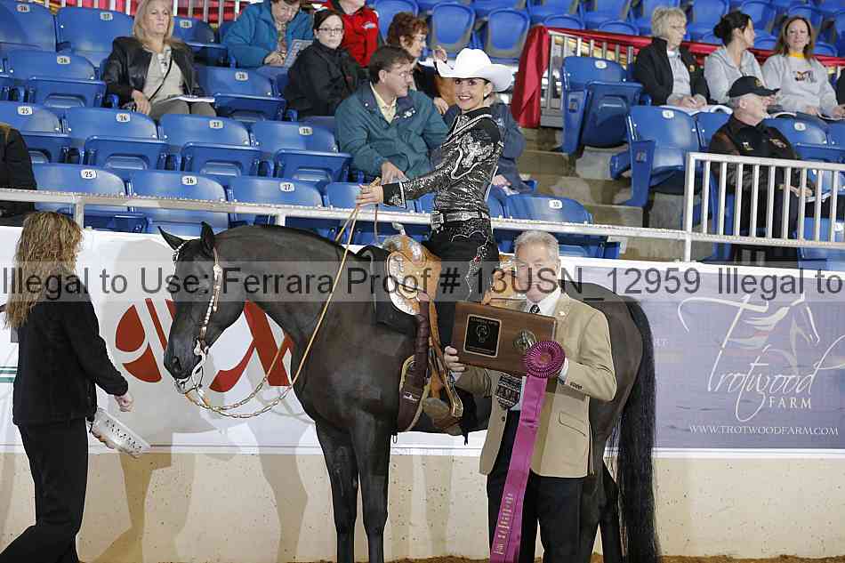 Proof 13usn_12959